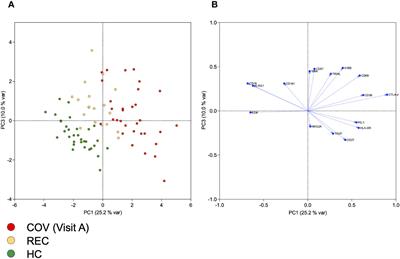 Early expansion of activated adaptive but also exhausted NK cells during acute severe SARS-CoV-2 infection